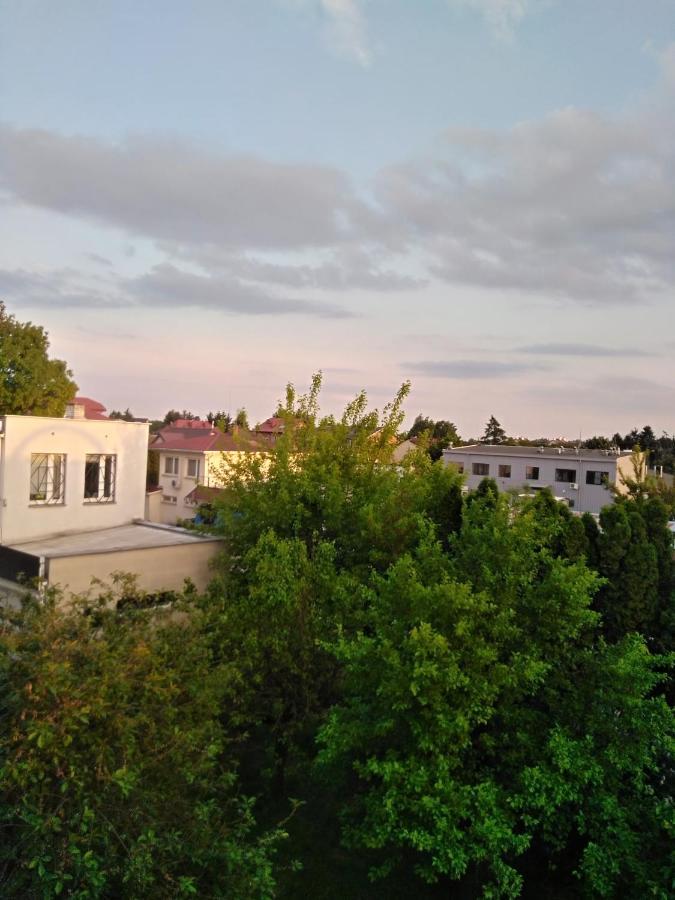 La Madriguera Bed and Breakfast Raszyn Esterno foto