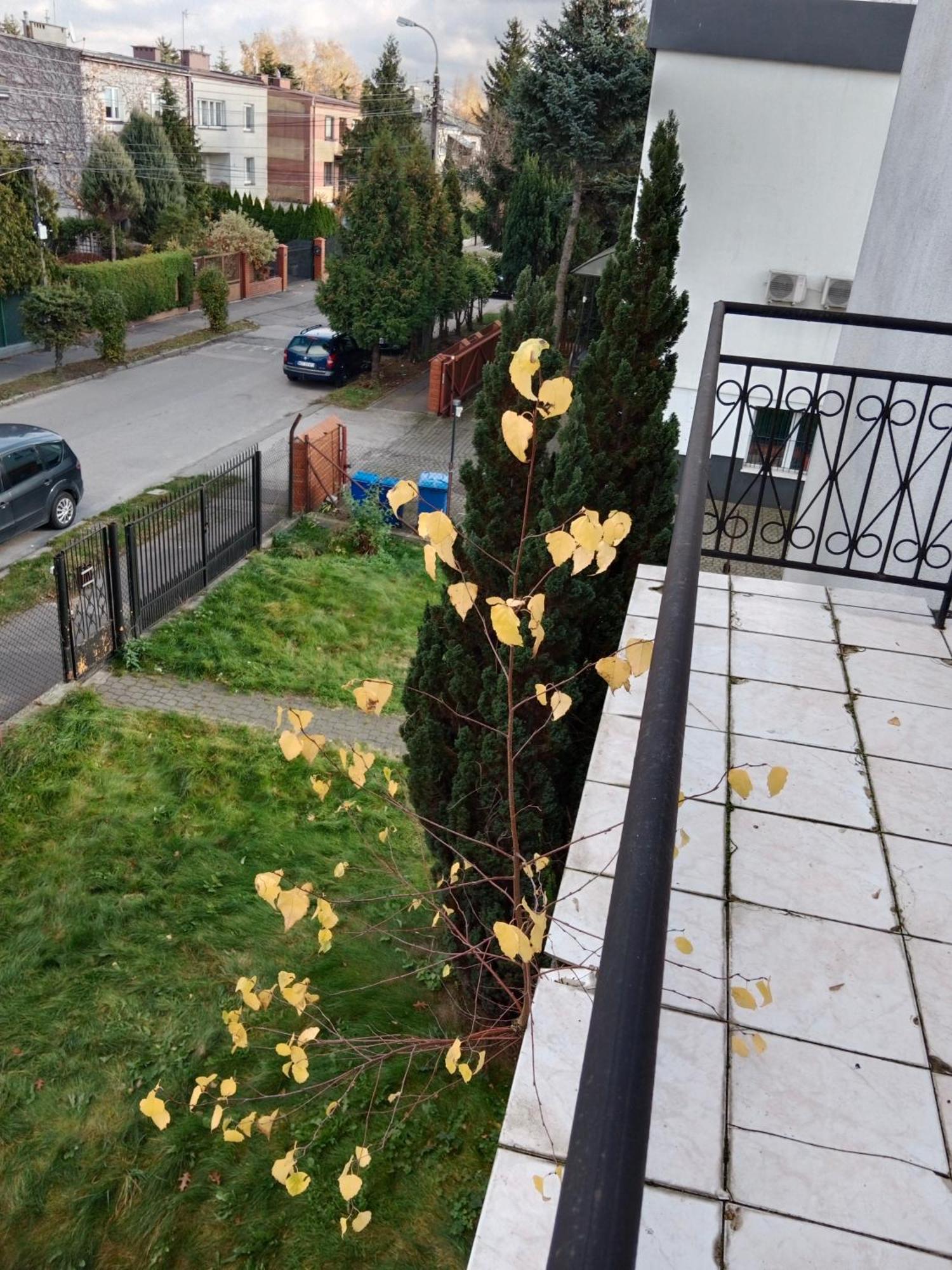 La Madriguera Bed and Breakfast Raszyn Esterno foto
